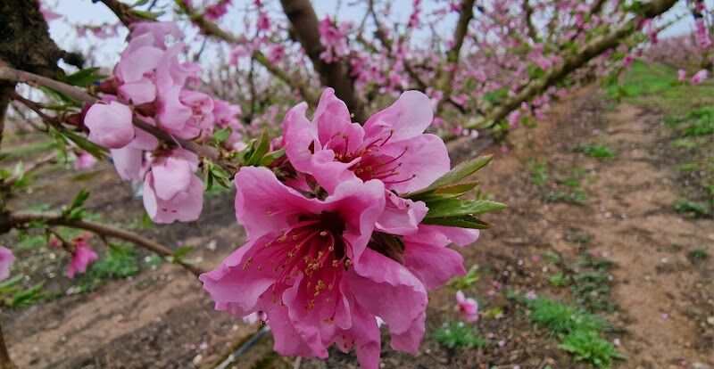 Imagen representativa de la localización