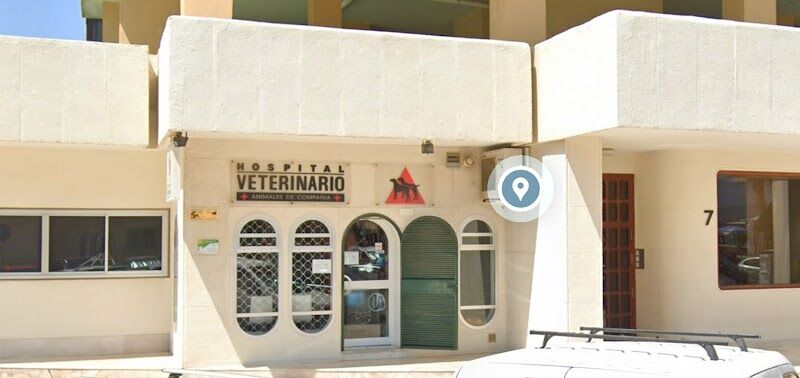 Imagen de Hospital Veterinario Animales de Compañia
