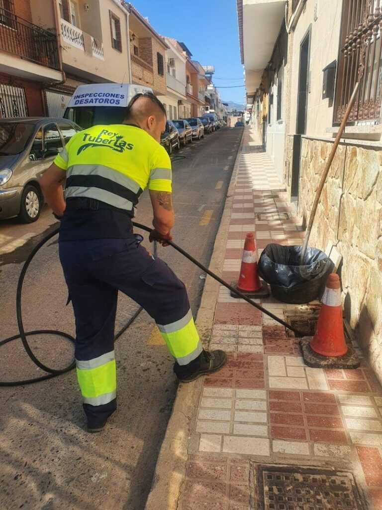 Imagen de Desatoros y Corta Raices Alhaurin de la Torre