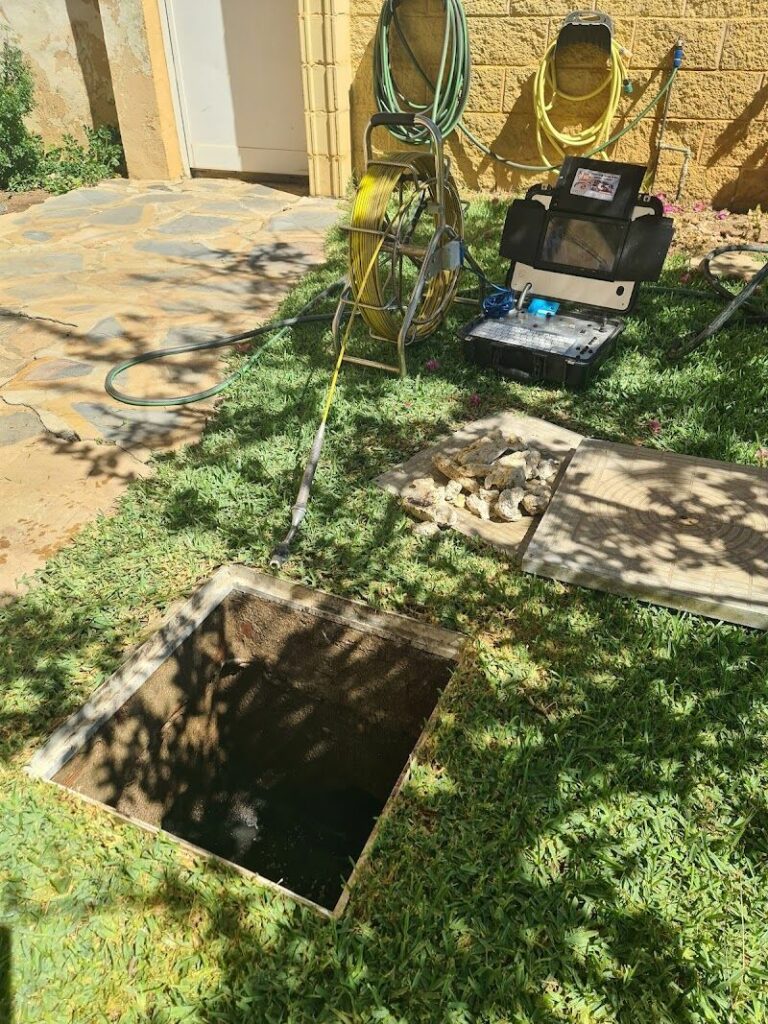 Imagen de Desatoros y Corta Raices Alhaurin de la Torre