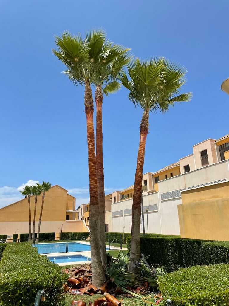 Imagen de negocio en Jardinería y exterior en Salobreña