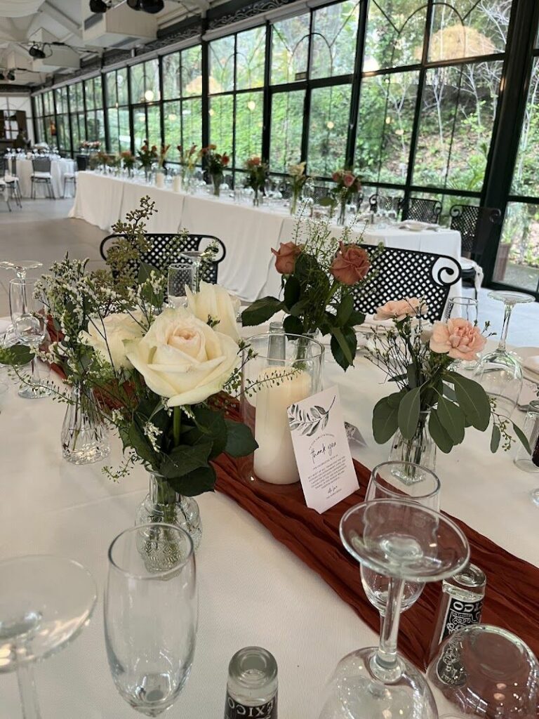 Imagen de Tropicalia Atelier – Cerrado por Vacaciones