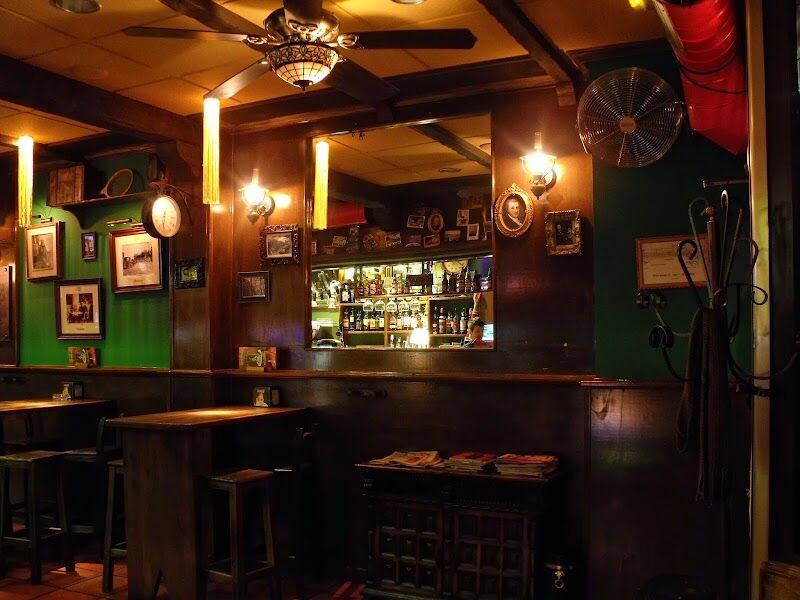 Imagen de El Irlandés Errante