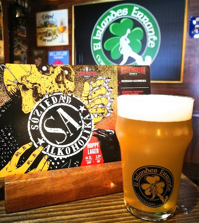 Imagen de El Irlandés Errante