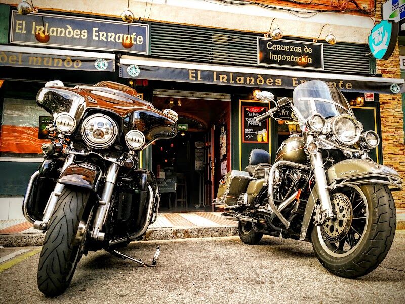 Imagen de El Irlandés Errante