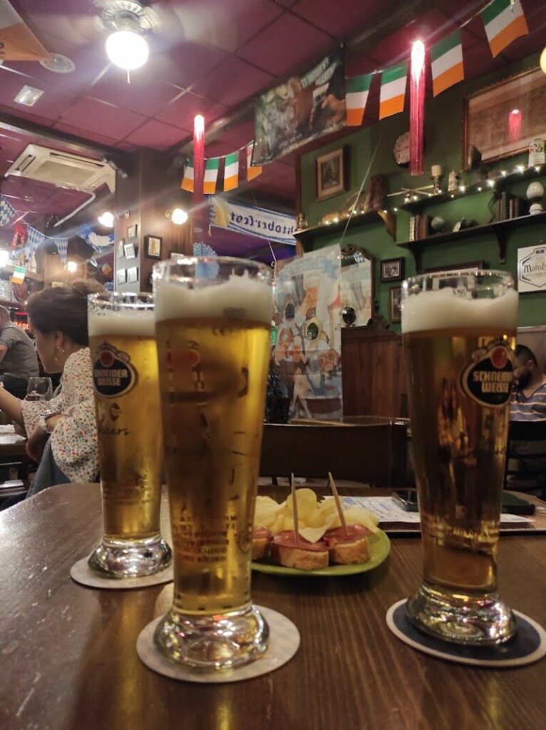 Imagen de El Irlandés Errante