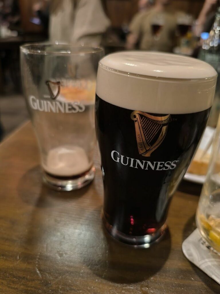 Imagen de El Irlandés Errante