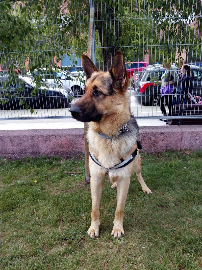 Imagen de negocio en Actividades deportivas en Comunidad de Madrid