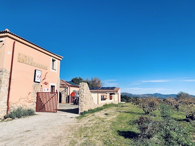 Imagen de negocio en Bodega en Provincia de Madrid