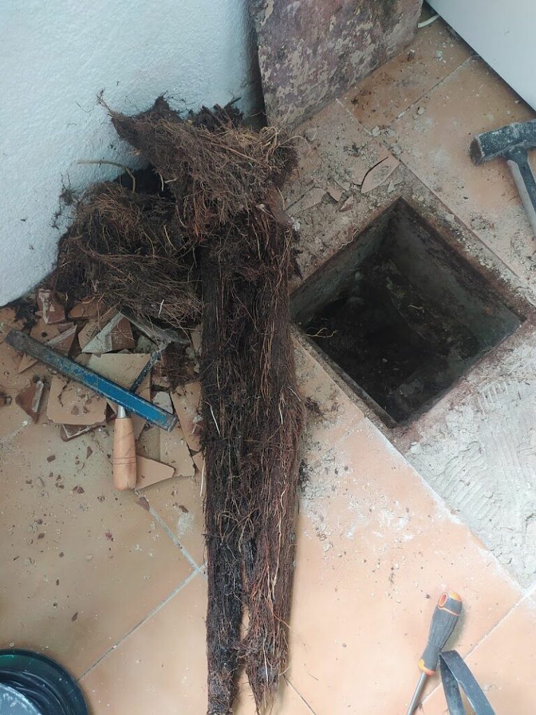 Imagen de Desatascos Jonathan López