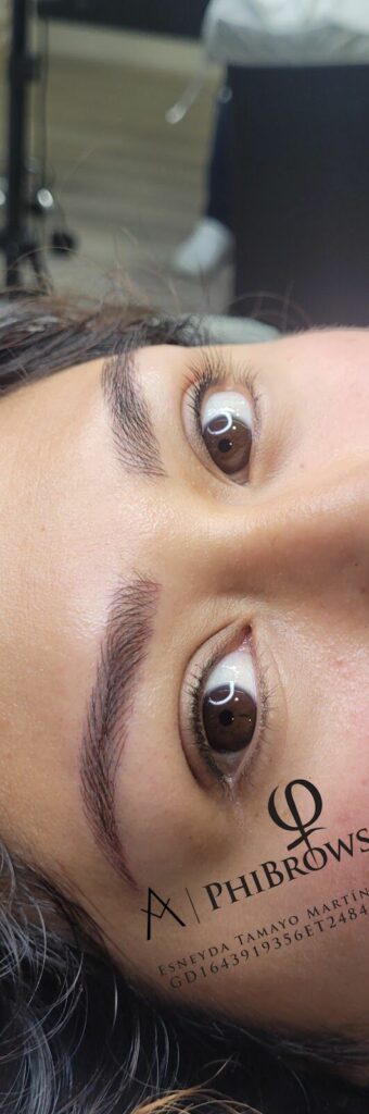 Imagen de Esneyda Tamayo Cejas Perfectas Microblading / Micropigmentación. Phibrows Artist