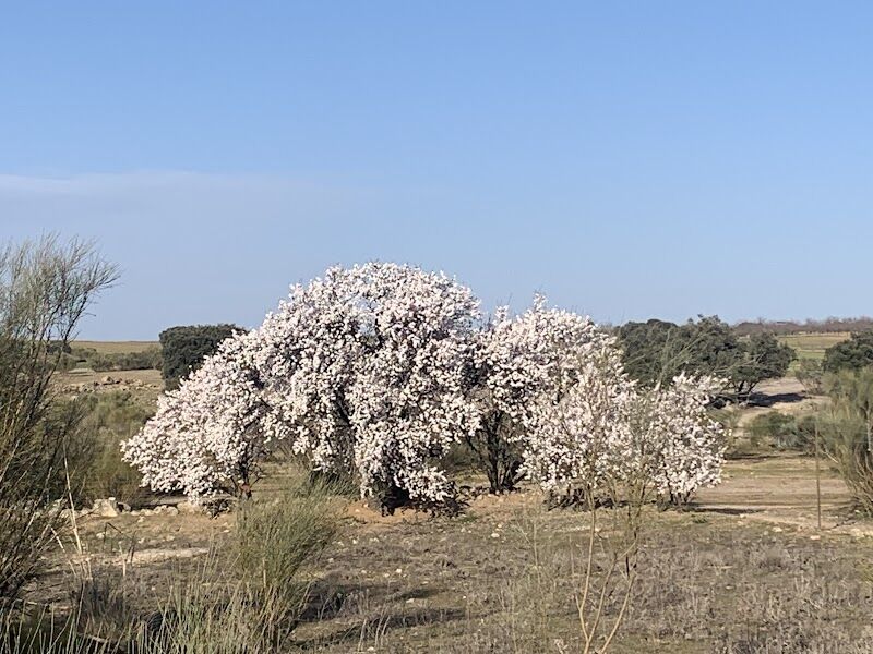 Imagen representativa de la localización