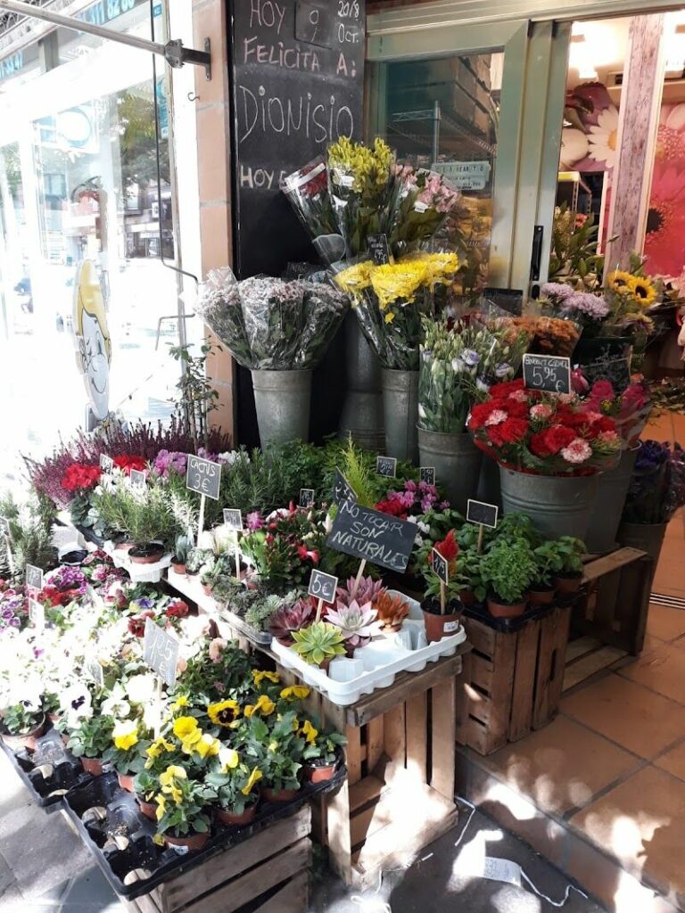 Imagen de Las Flores del Jardín