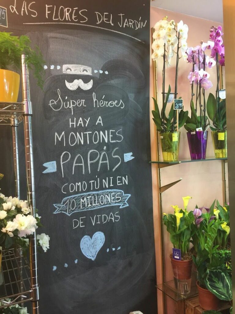 Imagen de Las Flores del Jardín