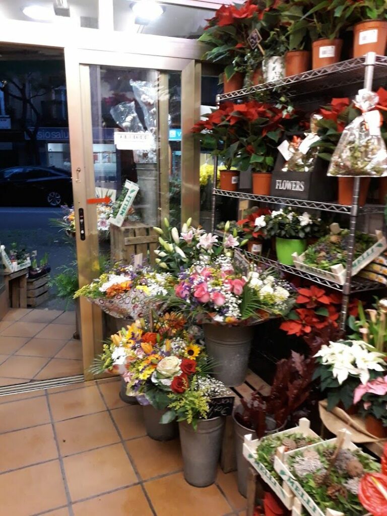 Imagen de Las Flores del Jardín