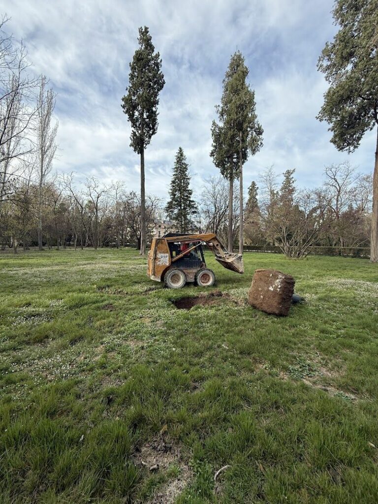 Imagen de Coty Demoliciones