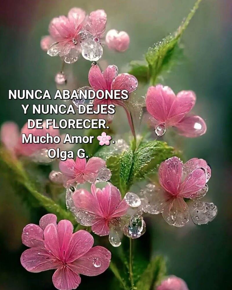 Imagen de Herbolario la Salud