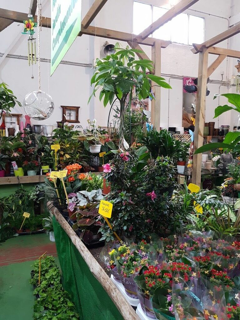 Imagen de Garden Rivas – Centro de Jardinería