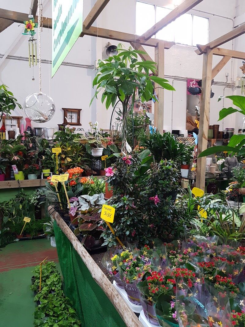 Imagen de negocio en Jardinería en Comunidad de Madrid