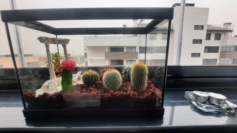 Imagen de Garden Rivas – Centro de Jardinería