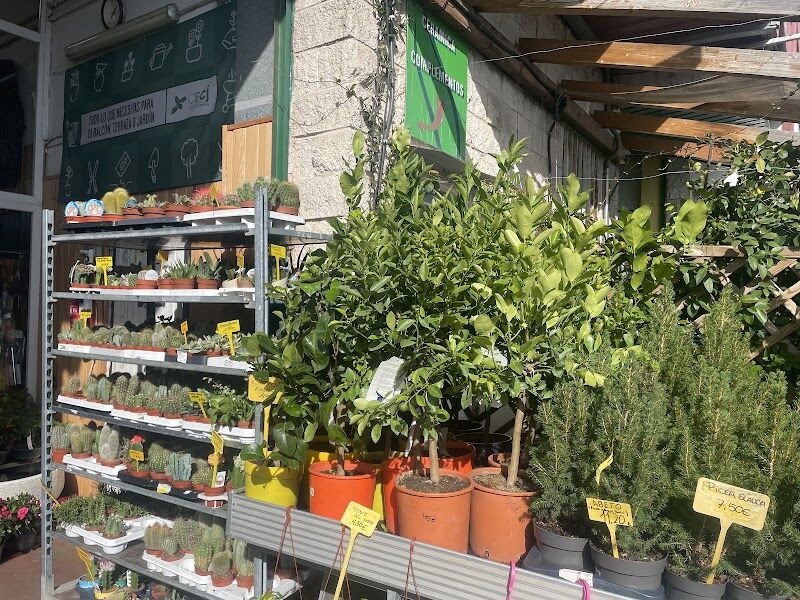 Imagen de Garden Rivas – Centro de Jardinería