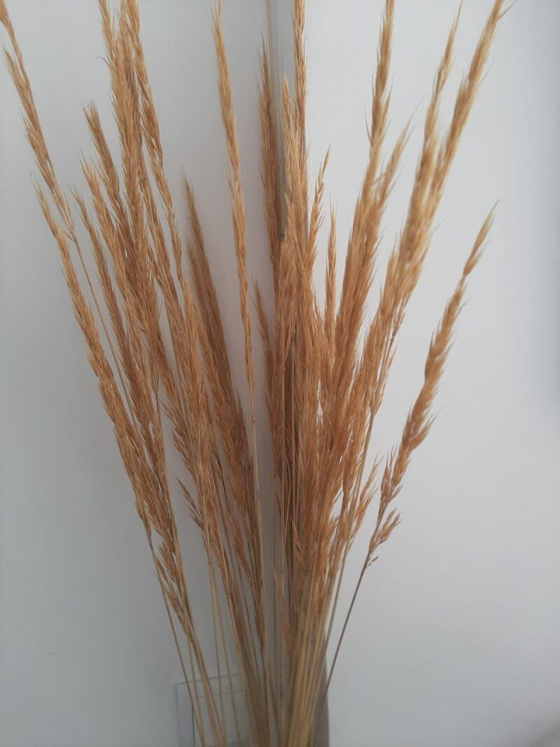 Imagen de Terapia Manual Sol y Luna – Osteópata en Móstoles