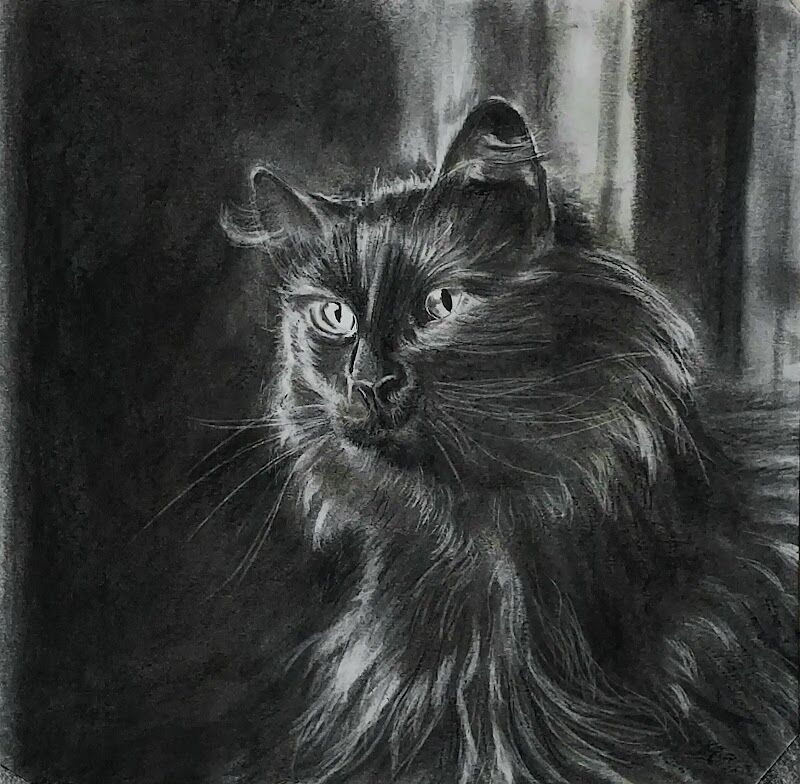 Imagen de Cromática, Escuela de Arte.