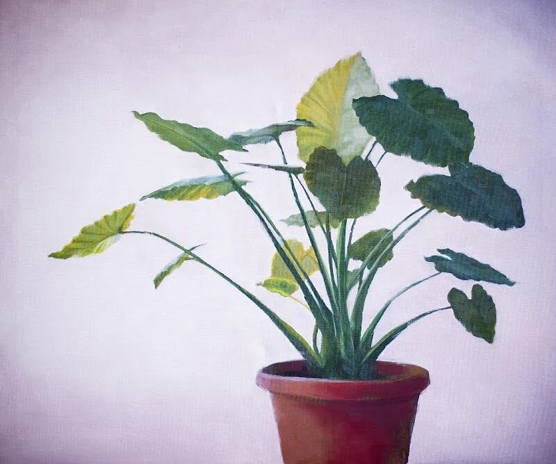 Imagen de Cromática, Escuela de Arte.