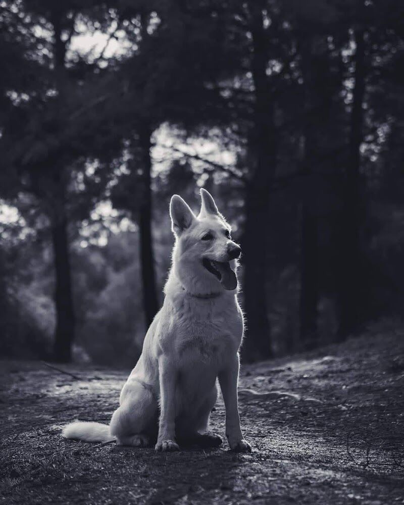 Imagen de Cromática, Escuela de Arte.