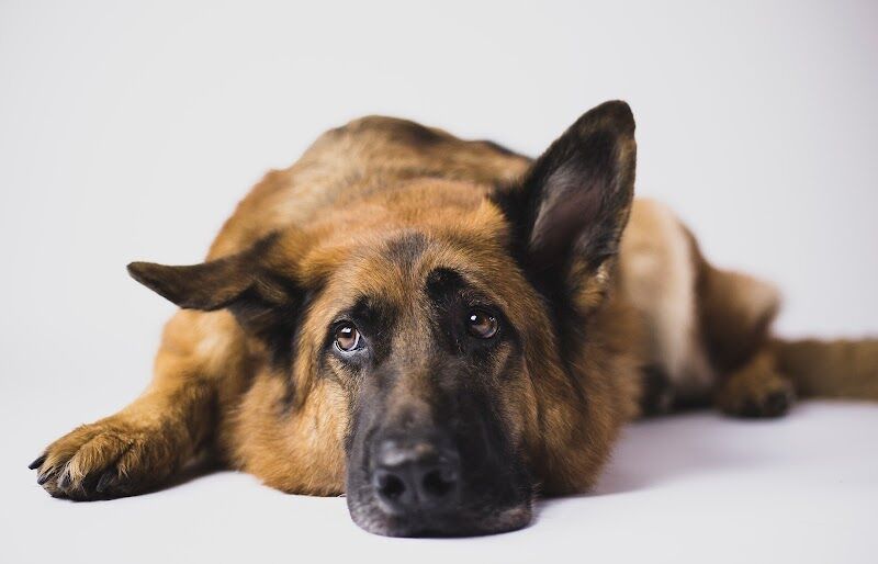 Imagen de Cromática, Escuela de Arte.