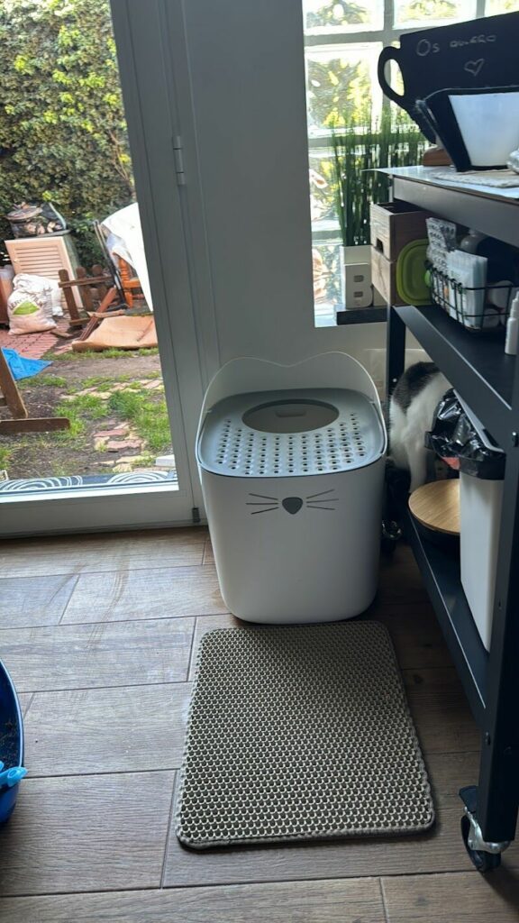 Imagen de Animalejos