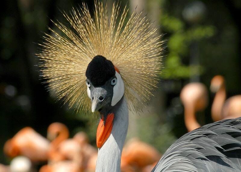 Imagen de Felipe Pérez Garre