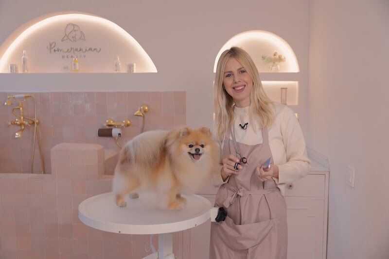 Imagen de Pomeranian Beauty Exclusive Grooming Care Line & Supplies