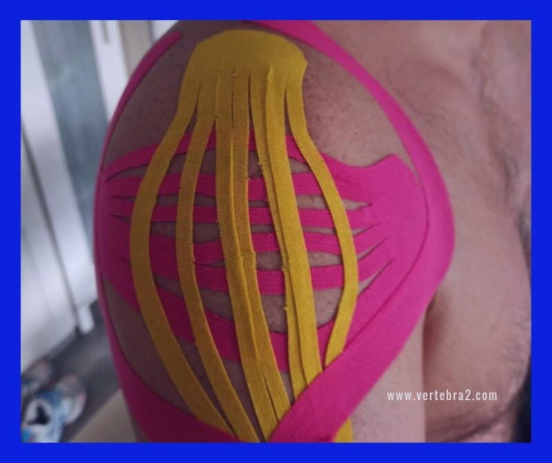 Imagen de Vértebra2