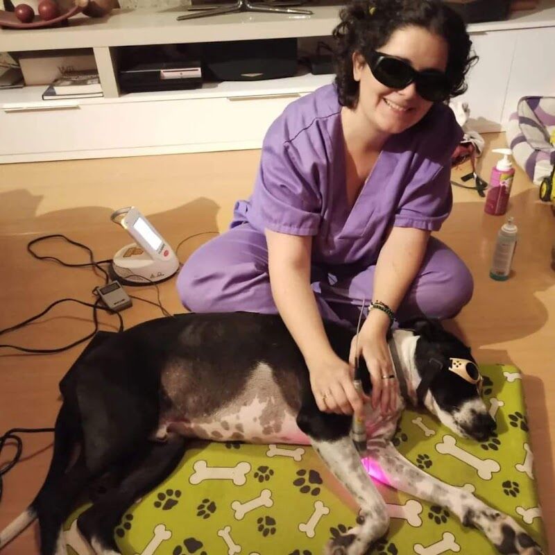 Imagen de Rociolaservet Rehabilitación Veterinaria a Domicilio en Rivas Vaciamadrid