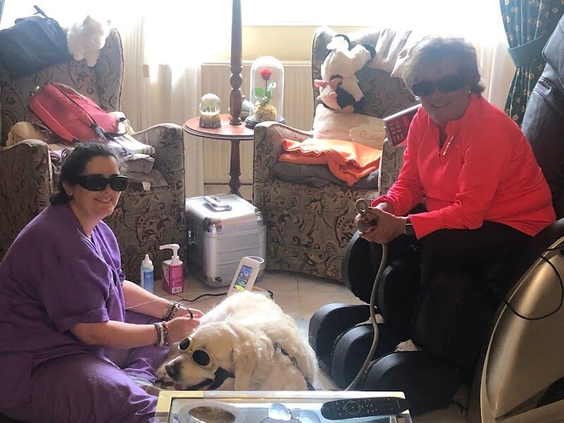 Imagen de Rociolaservet Rehabilitación Veterinaria a Domicilio en Rivas Vaciamadrid