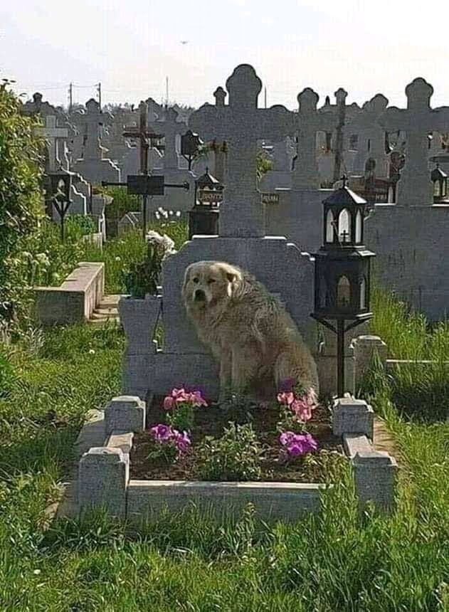 Imagen representativa de la localización