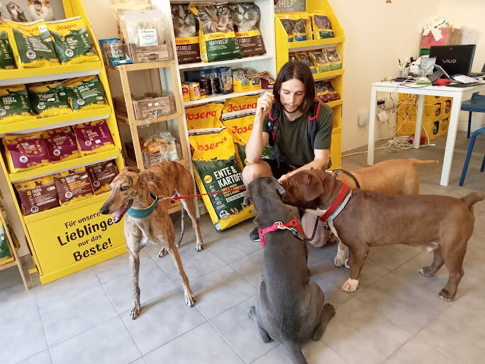 Imagen de El Rincón de Ana-tienda para los Pekes