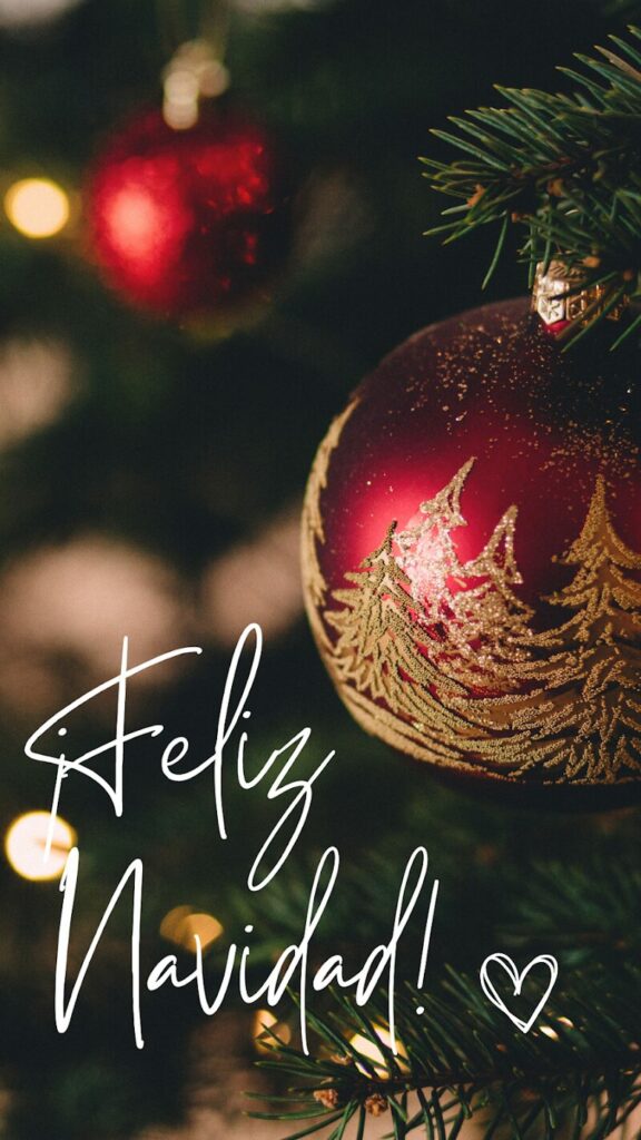 Imagen de Nutricionista David Sanchís