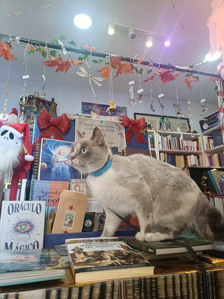 Imagen de Librería & Tienda Esotérica el Almazen del Alquimista