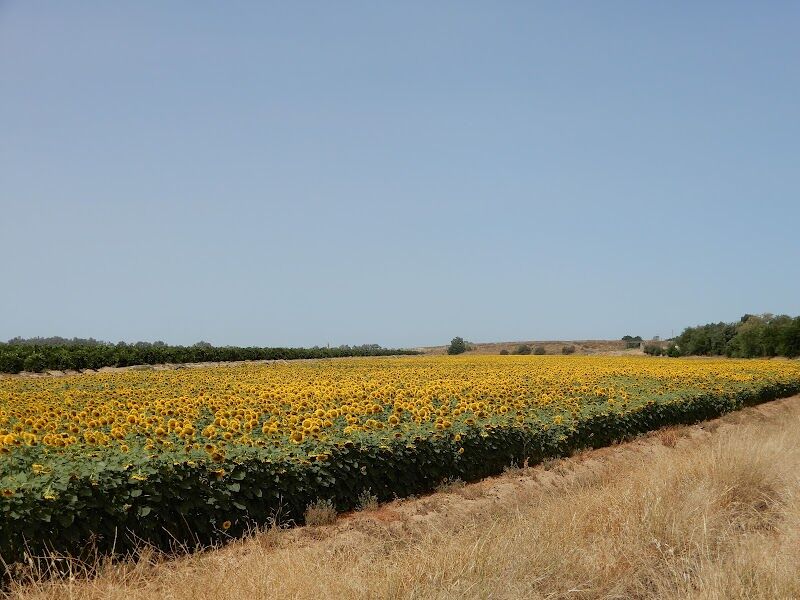 Imagen representativa de la localización