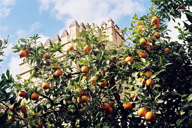 Imagen de Sol Lab – Laboratorio Analógico