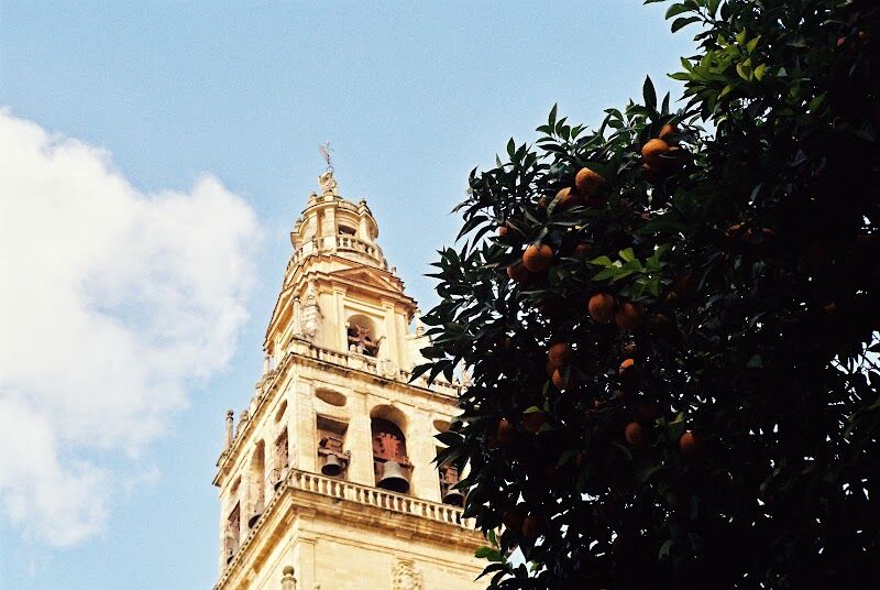 Imagen de Sol Lab – Laboratorio Analógico