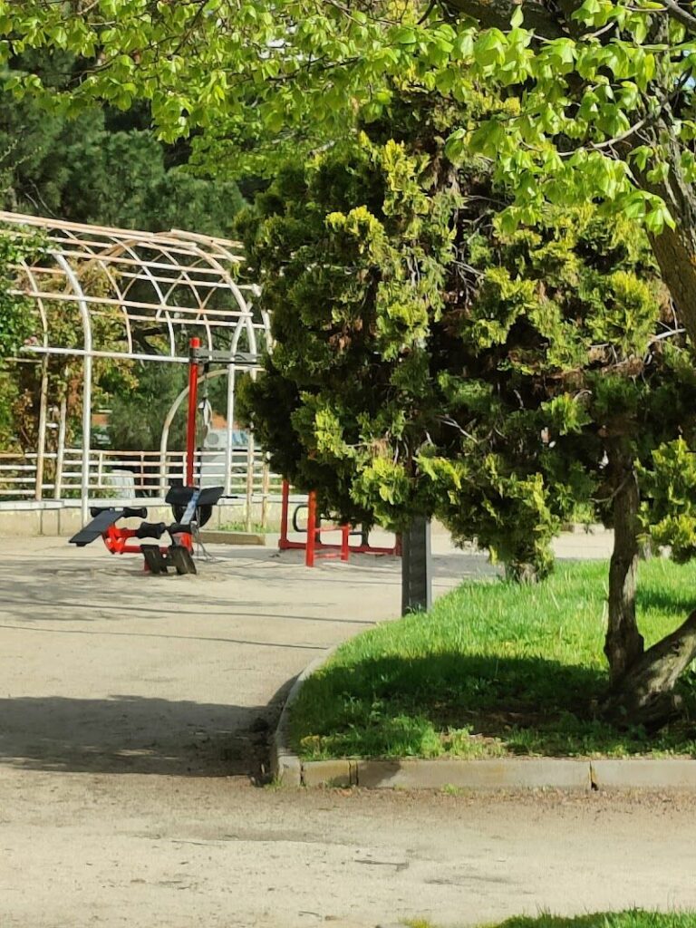 Imagen de Gimnasio Al Aire Libre