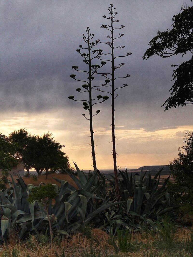 Imagen representativa de la localización