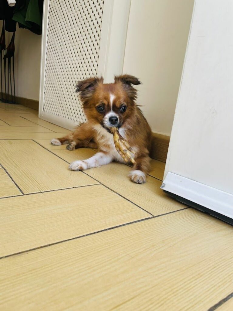 Imagen de El Rincon de Daby