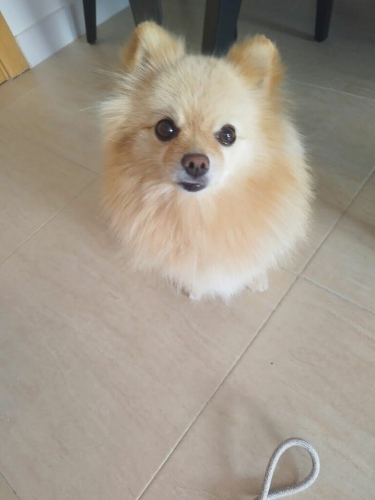 Imagen de El Rincon de Daby