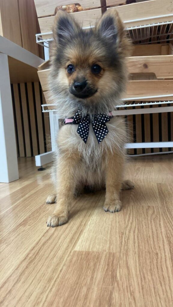 Imagen de El Rincon de Daby