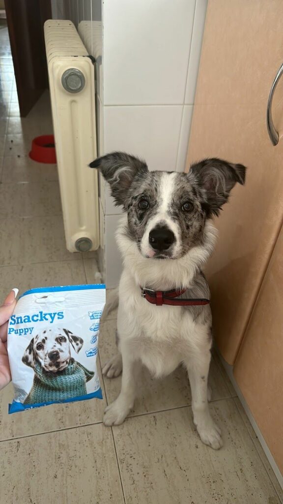 Imagen de El Rincon de Daby