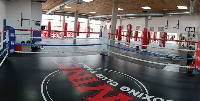 Imagen de Swing Boxing Club Parla